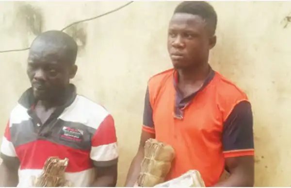 Turkish College abduction: We also killed TV reporter, Alli-Balogun – Suspects confess
